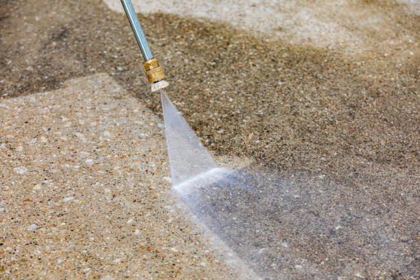 Best Driveway Pressure Washing  in Bridgeville, DE